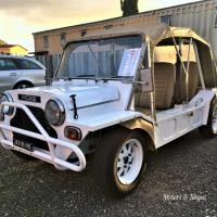Leyland Moke Californian del 1981