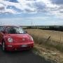 Volkswagen New Beetle 2.0 del 2000 - ASI con CRS - Bollo 50%